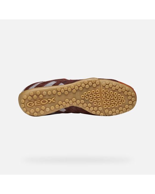 Geox Red Snake Brick/Mahogany for men