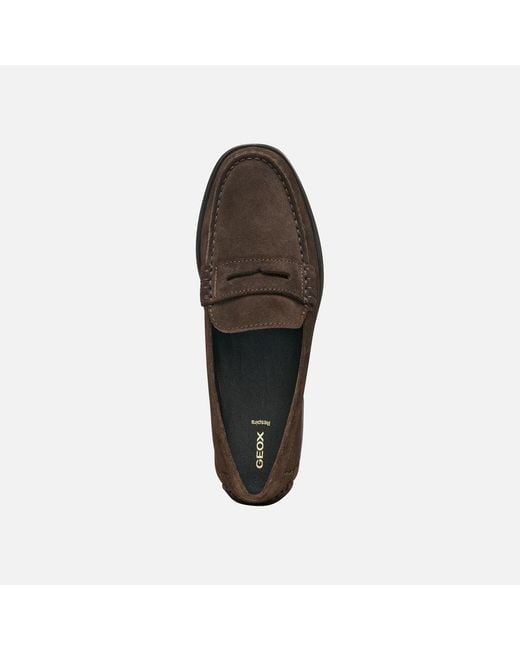 Geox Brown Noemen