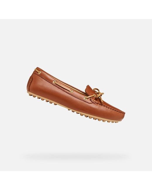 Geox Brown Kalistena
