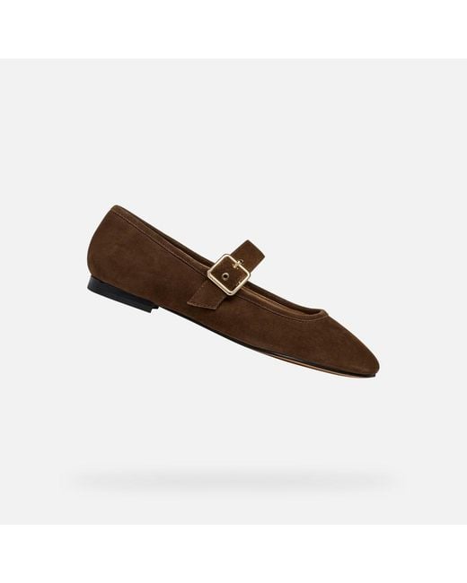 Geox Brown Azlea