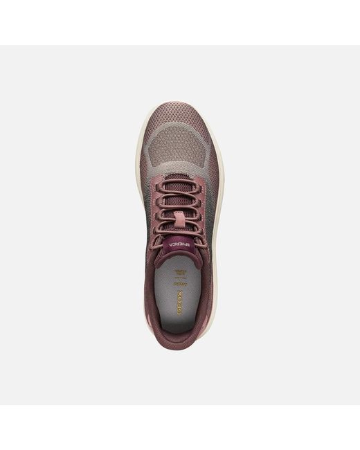 Geox Brown Spherica Plus