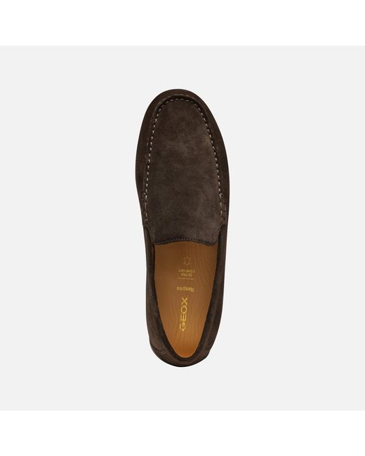 Geox Brown Spherica Ec16 for men