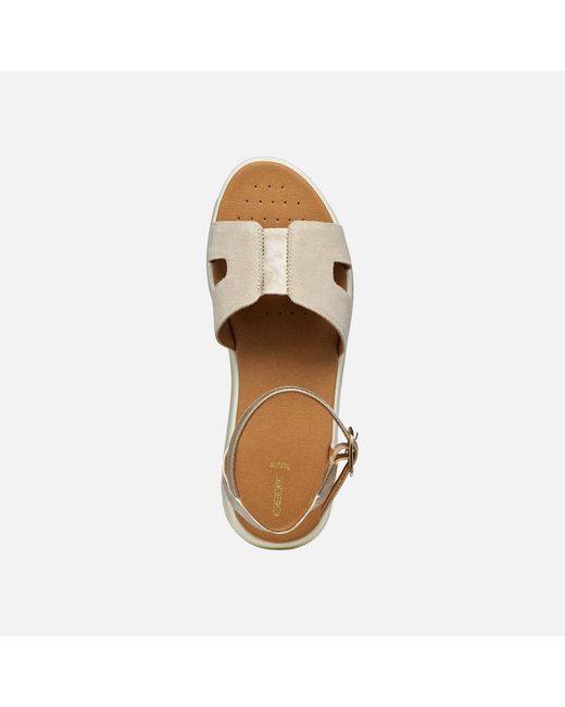 Geox Metallic Dandra