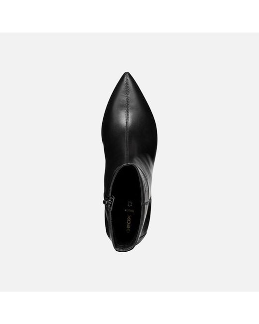 Geox Black Kleopy