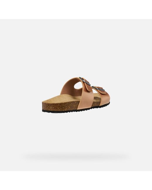 Geox Brown Brionia
