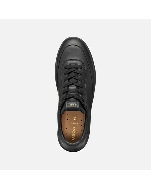 Geox Black Dynamia for men