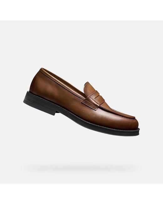 Geox Brown Medos for men