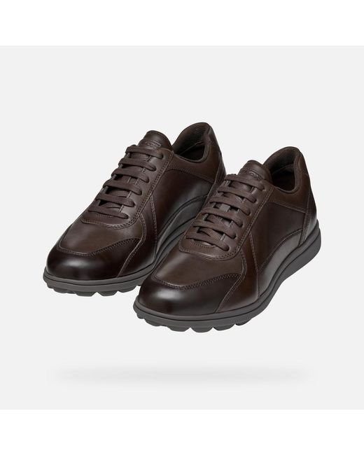 Geox Brown Spherica Ec12 for men