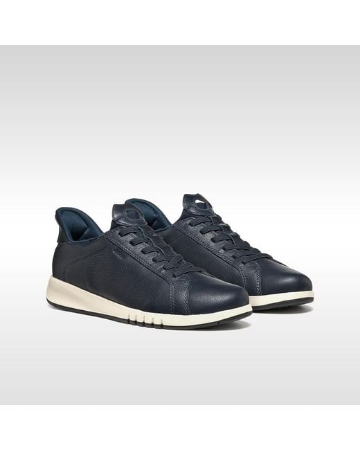 Geox Blue Aerantis Plus for men