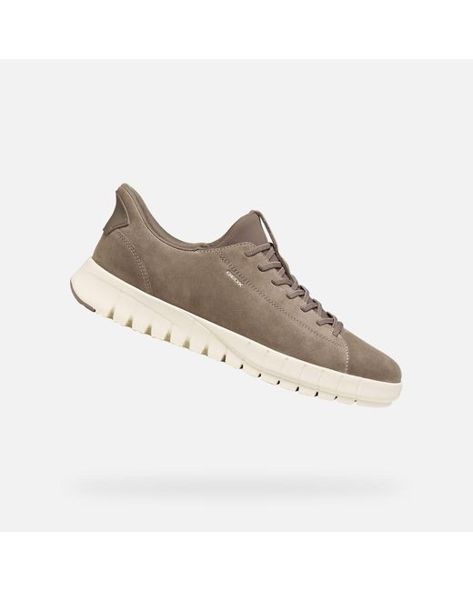 Geox Gray Flextride Plus for men
