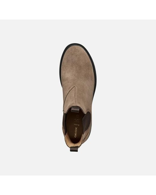 Geox Brown Spherica Ec1 B Taupe/Chocolate