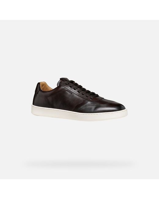 Geox Black Regio for men