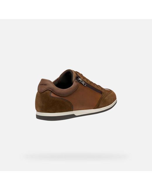 Geox Brown Renan for men