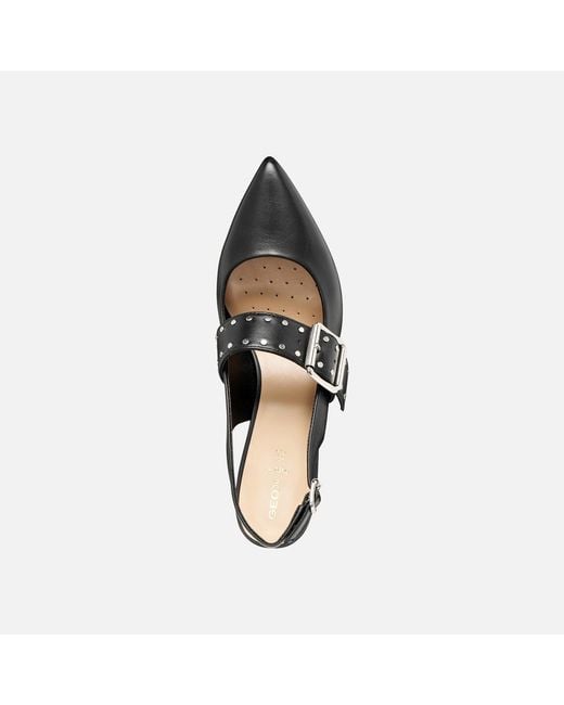 Geox Black Kleopy