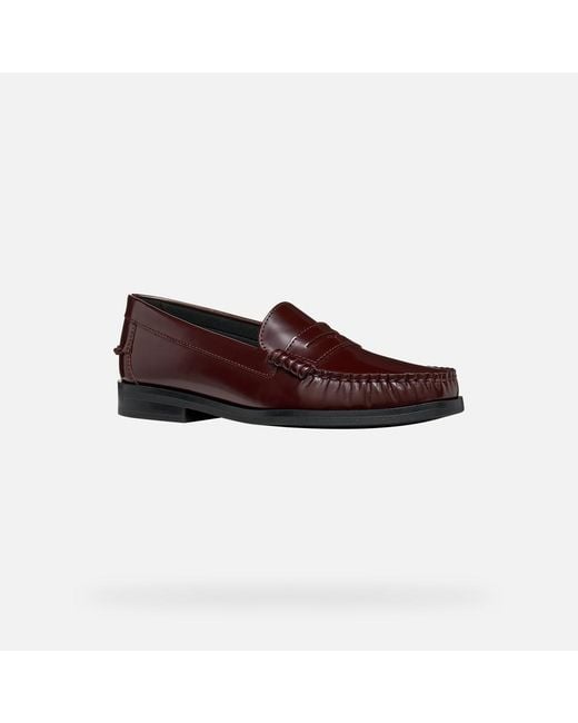 Geox Brown Noemen