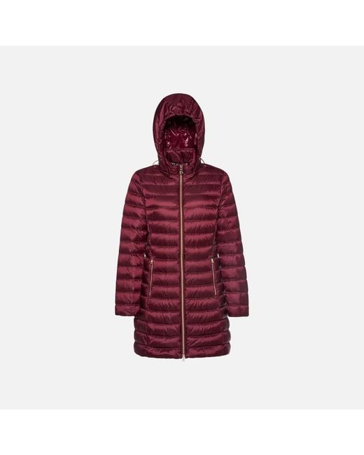 Geox Red Jaysen