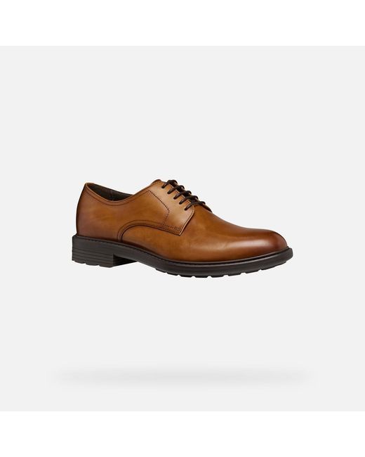 Geox Brown Walk Pleasure B for men