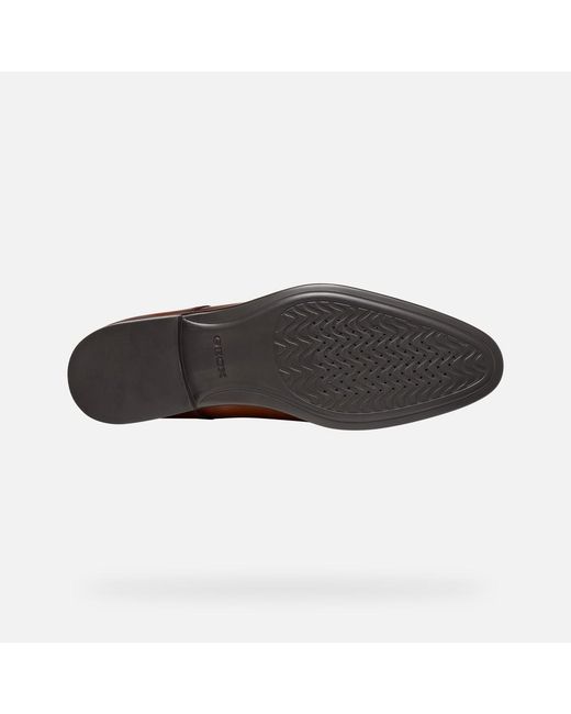 Geox Brown Thalos for men