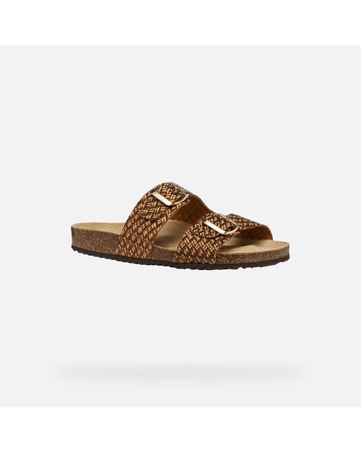 Geox Brown Brionia