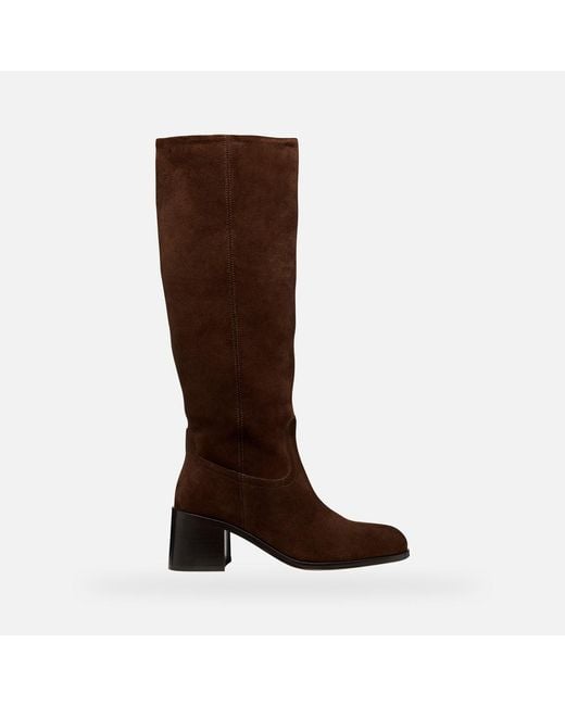 Geox Brown Alnoire