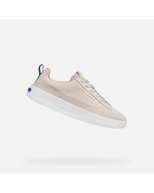 Geox Multicolor Gxcp-01