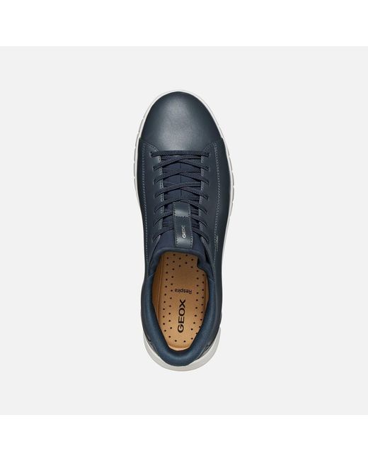 Geox Blue Flextride Plus for men