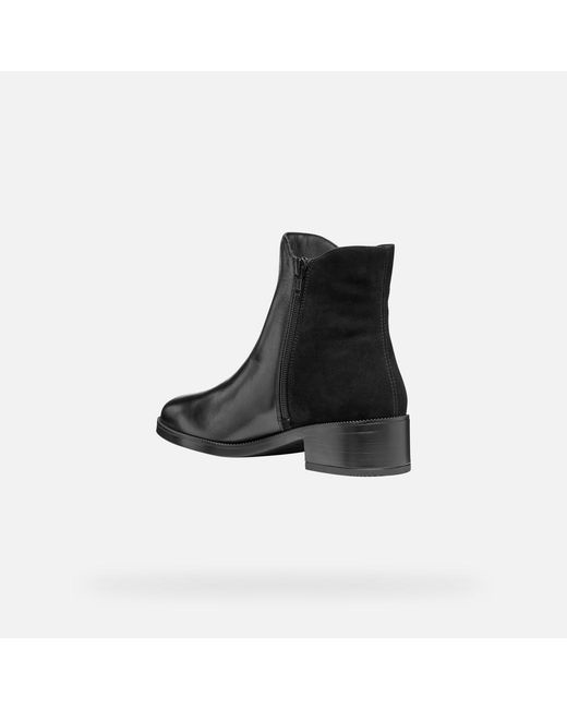 Geox Black Camexia