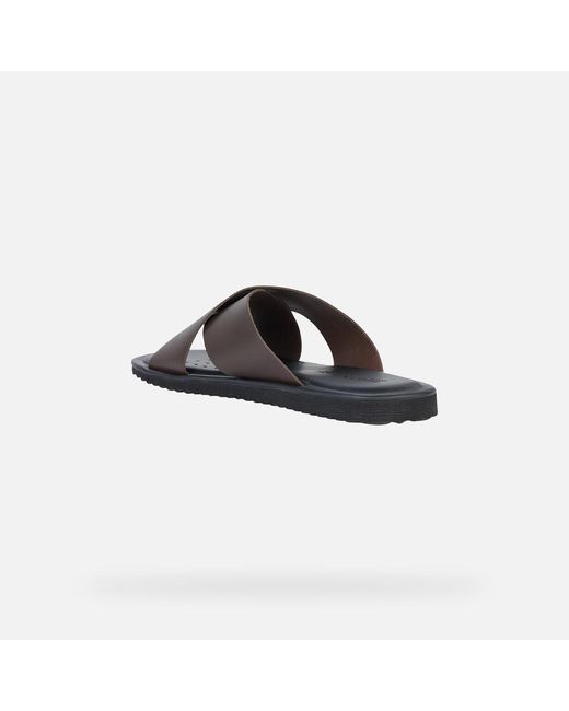 Geox Brown Erice for men