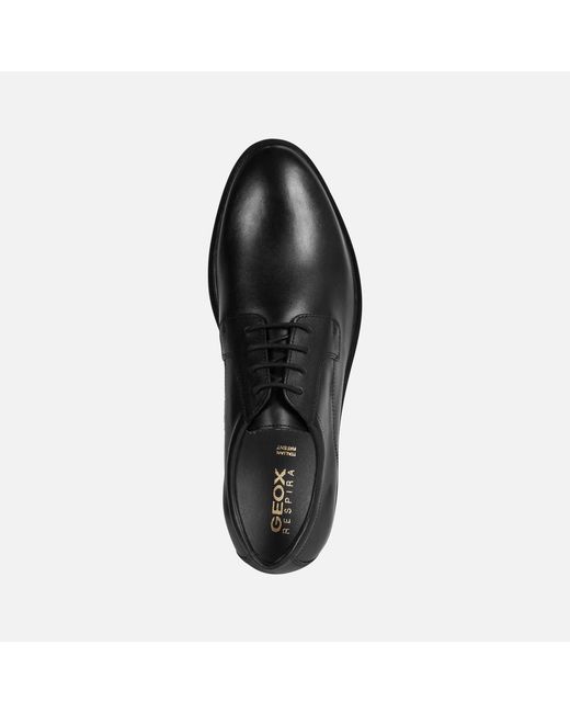 Geox Black Gladwin for men