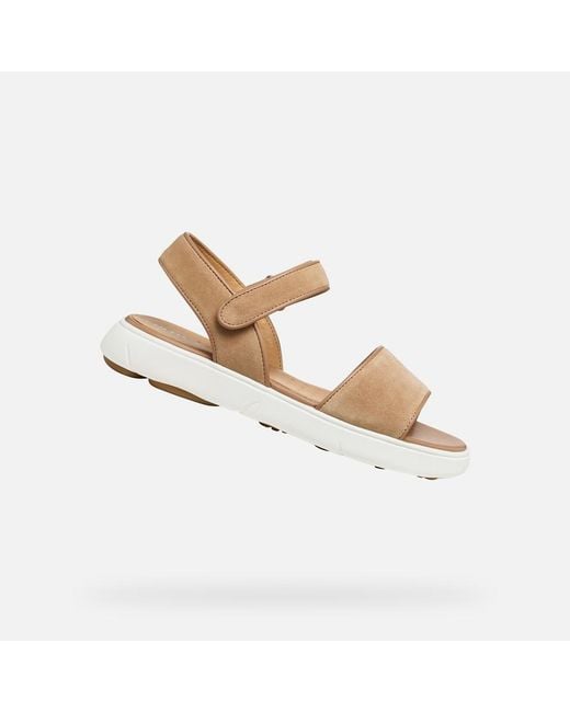 Geox Metallic Nebula 2.0 C S