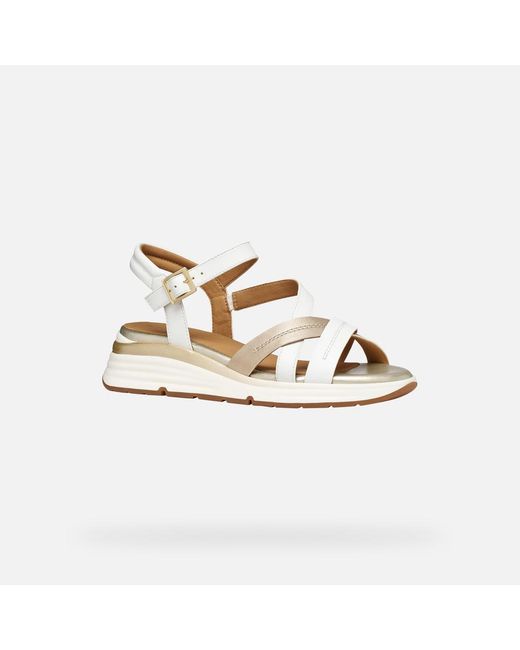 Geox Metallic Elowynne