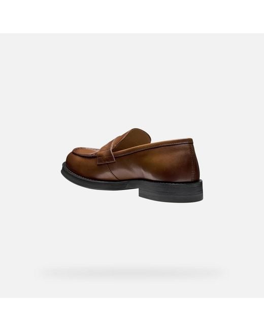 Geox Brown Medos for men