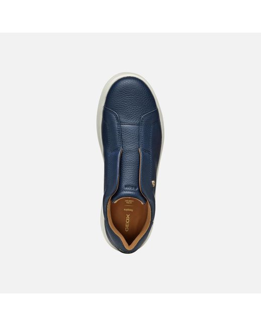 Geox Blue Spherica Ecub-2
