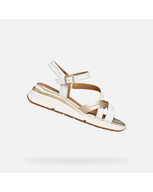 Geox Metallic Elowynne