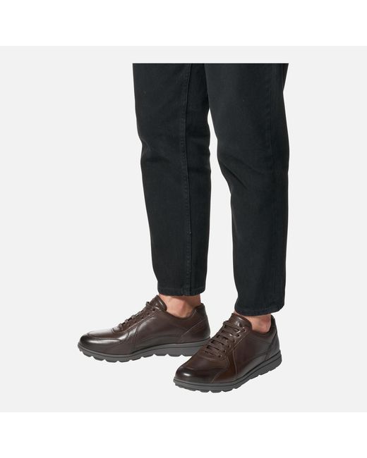 Geox Brown Spherica Ec12 for men
