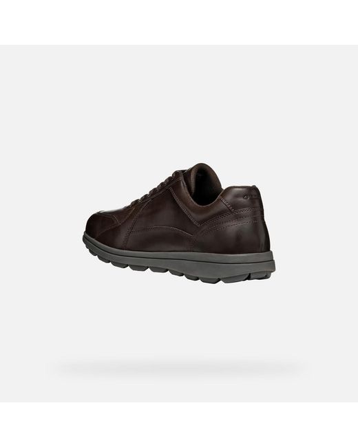 Geox Brown Spherica Ec12 for men