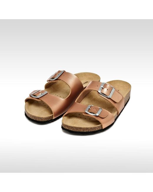Geox Brown Brionia