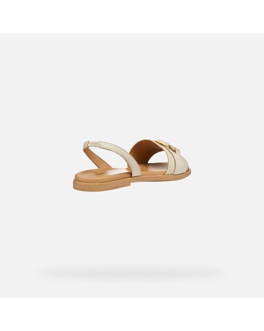 Geox Metallic Naileen