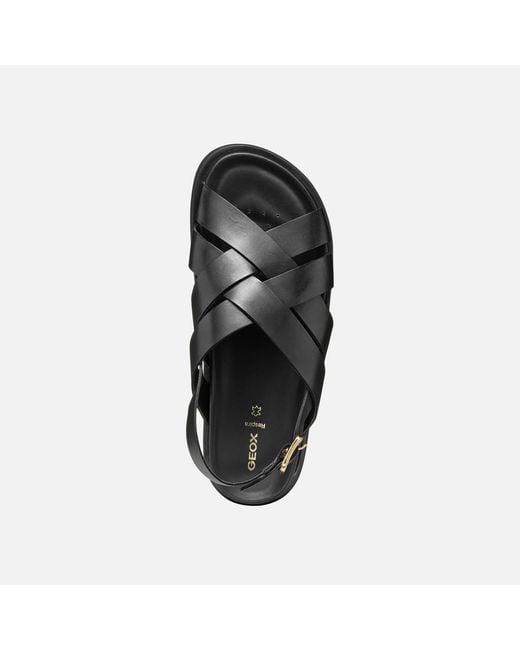 Geox Black Adelash