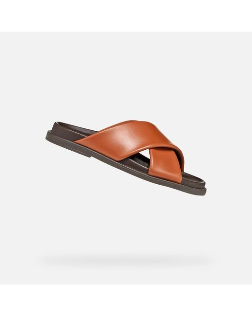 Geox Brown Adelash