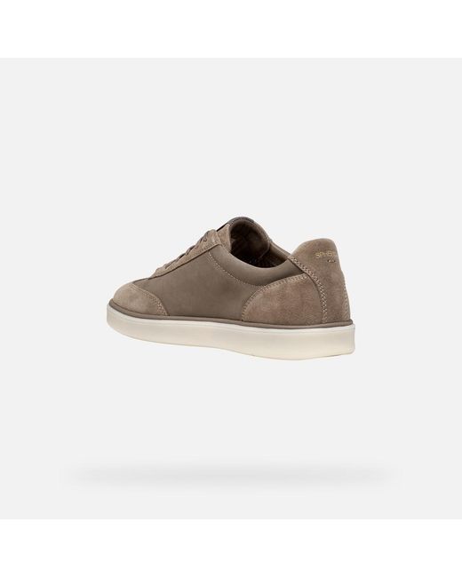 Geox Brown Spherica Actif X4 for men