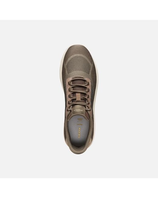 Geox Brown Spherica Plus Taupe/Dark