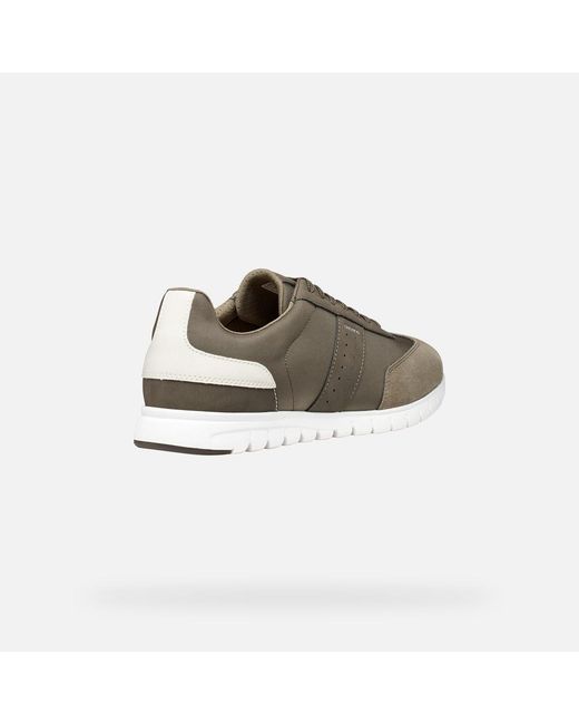 Geox Gray Flextride Zero for men