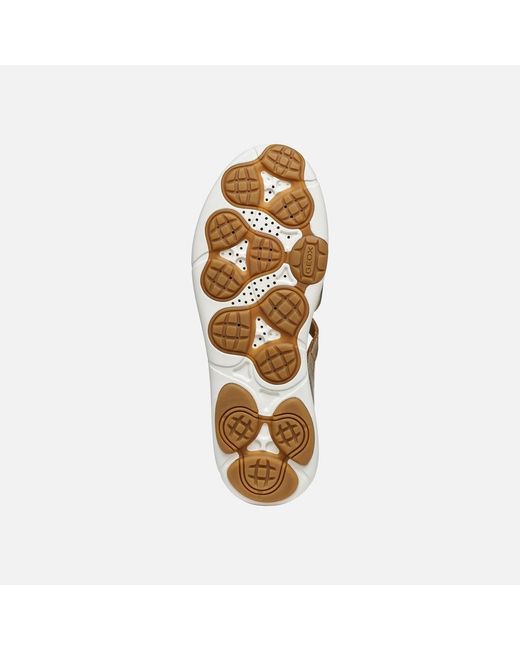 Geox Metallic Nebula 2.0 C S
