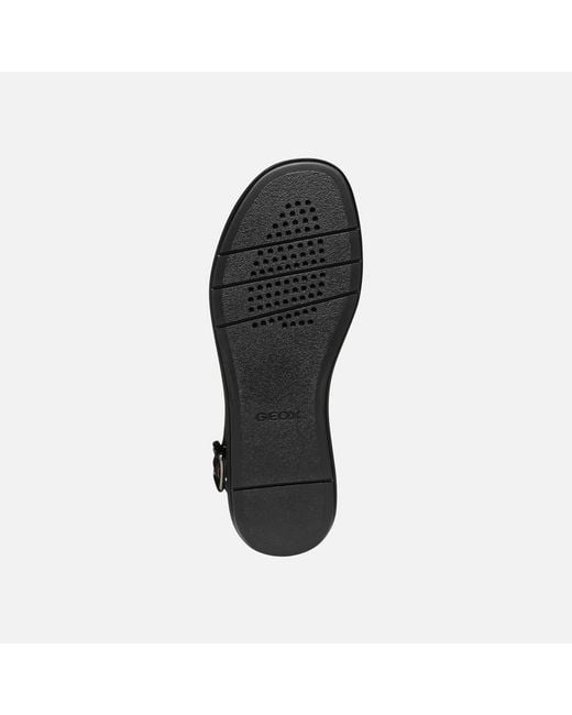 Geox Black Camalei