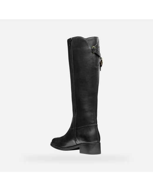 Geox Black Camexia Abx