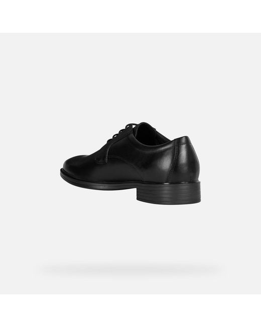 Geox Black Gladwin for men