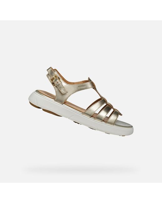 Geox Metallic Nebula 2.0 C S