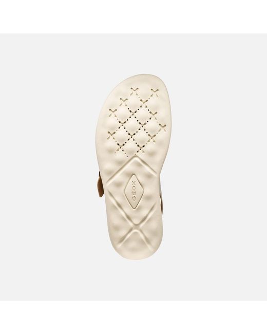Geox Metallic Xand 2S