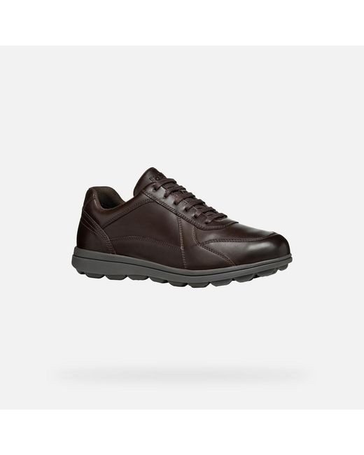Geox Brown Spherica Ec12 for men
